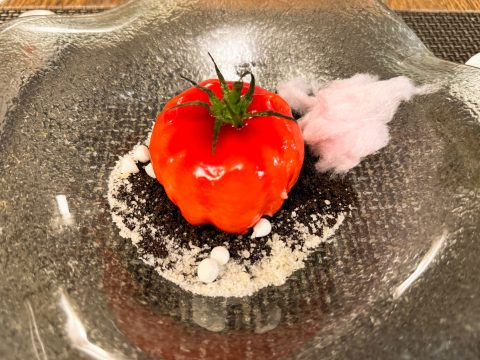 Trampantojo de tomate